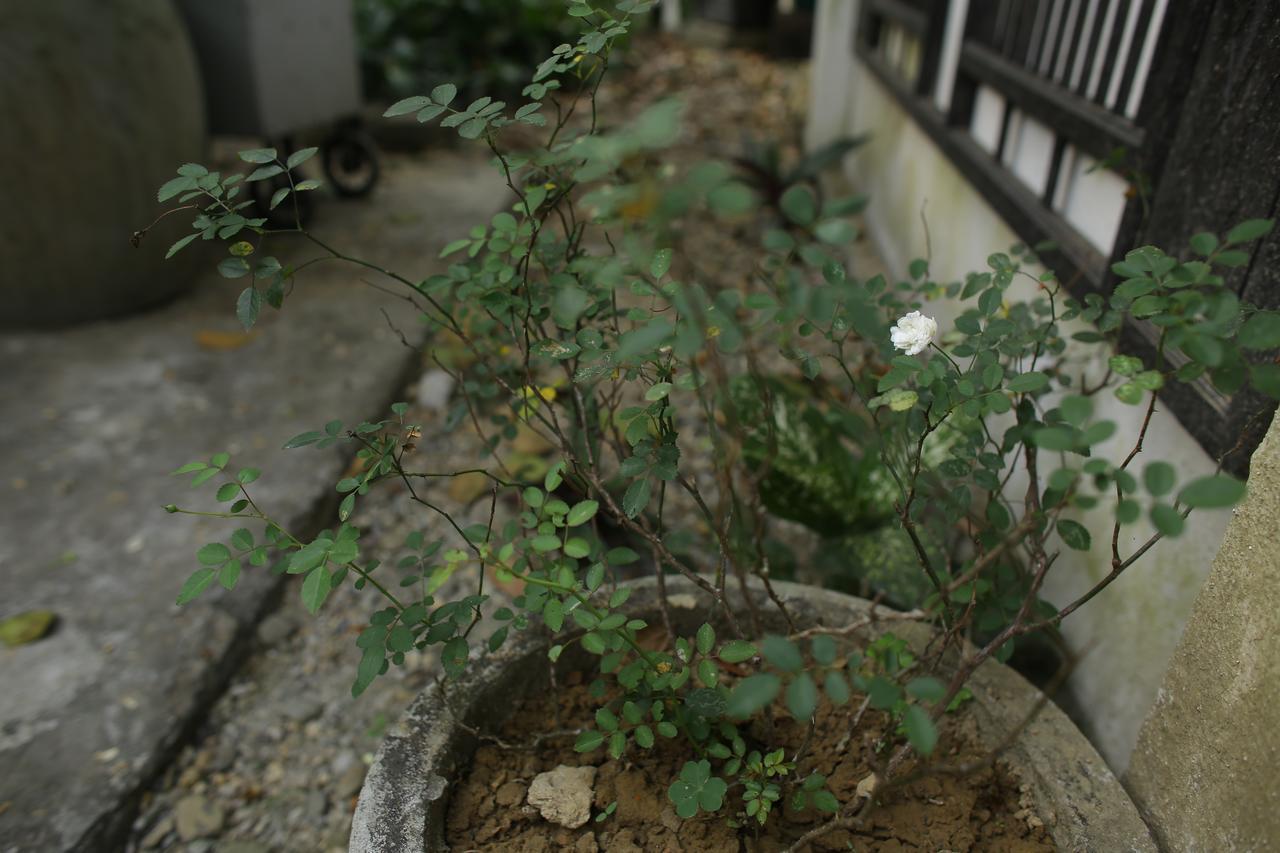 Thuy Bieu Homestay Hue Exterior foto